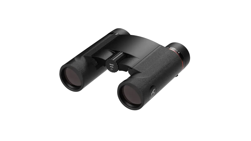 JUMELLES KITE FALCO 8x25